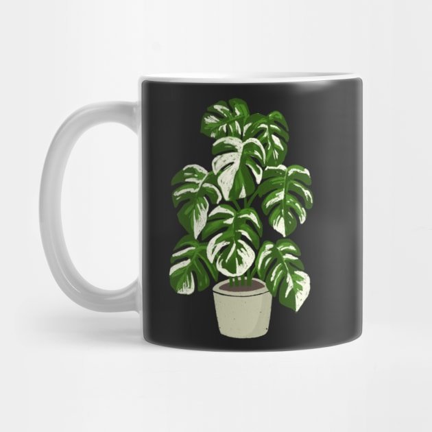 Monstera borsigiana variegated plant with fenestrations by gronly